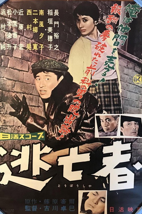 Movie poster for The Fugitive (1959)