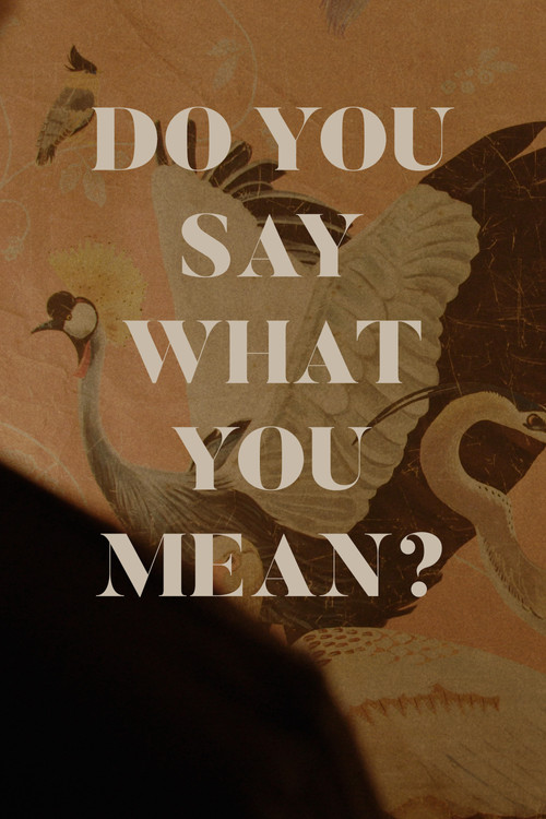 Movie poster for Do You Say What You Mean? (2024)