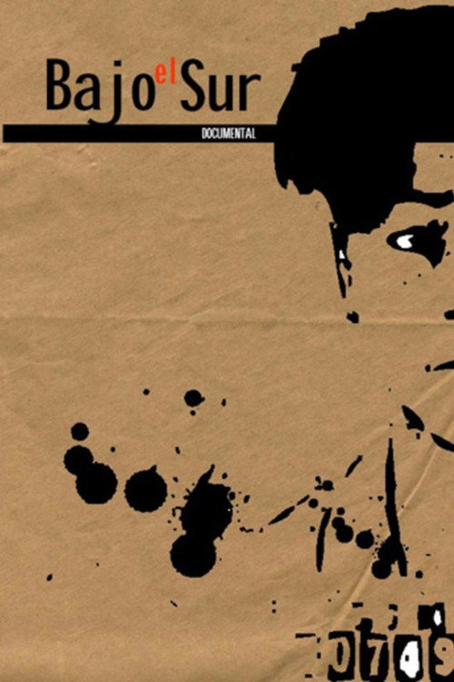 Movie poster for Bajo el sur