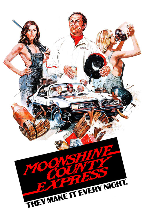 Movie poster for Moonshine County Express (1977)