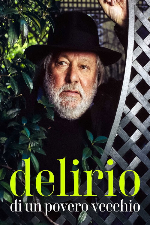 Movie poster for Delirio di un povero vecchio (2001)