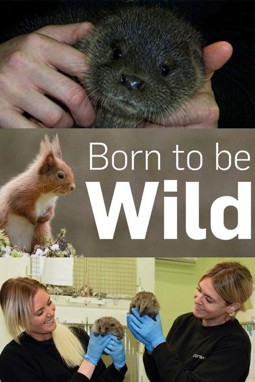 Series poster for Born to Be Wild (2019)