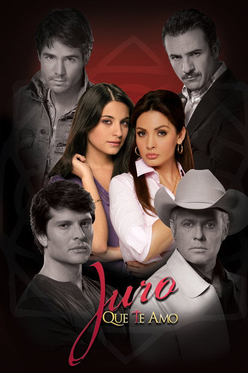 Series poster for Oath of Love (2008)