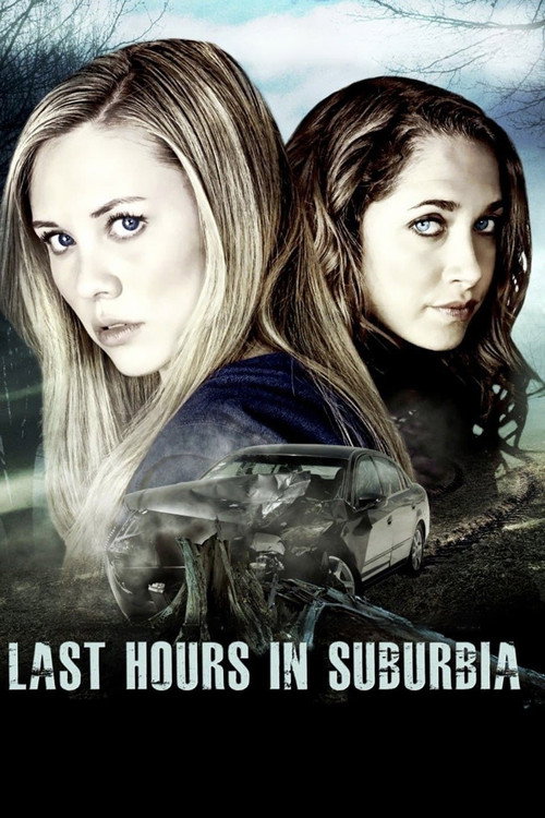 Movie poster for Last Hours in Suburbia (2013)