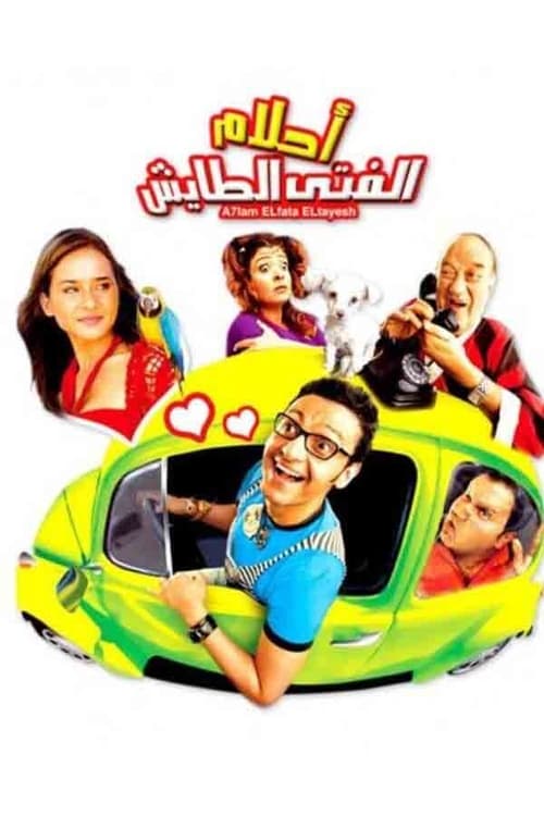 Movie poster for Dreams of the Reckless Boy (2007)