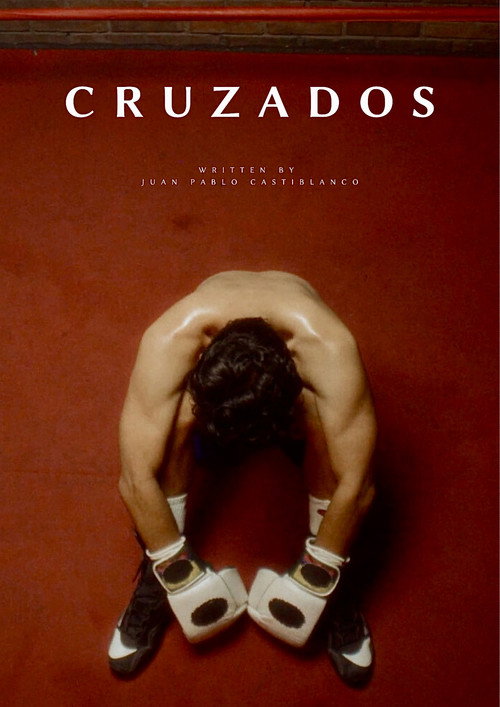 Movie poster for Cruzados