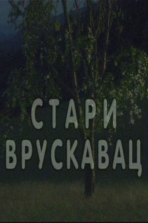 Movie poster for Stari vruskavac (2000)