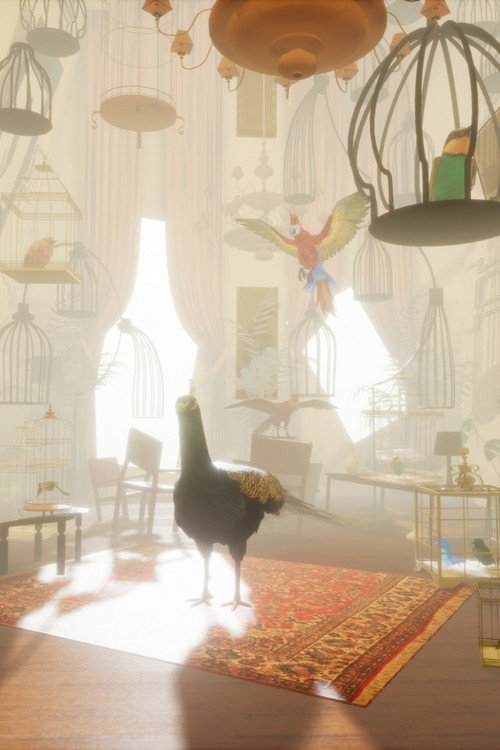 Movie poster for The Bird Lady (2019)