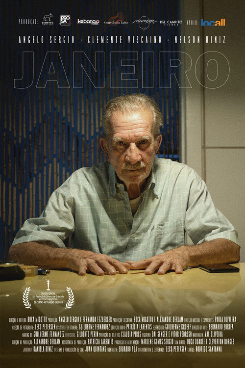 Movie poster for Janeiro (2024)