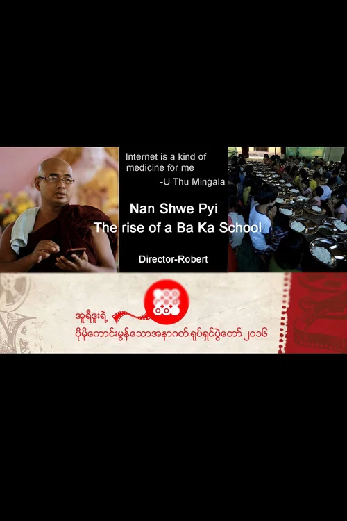Movie poster for Nan Shwe Pyi (2016)
