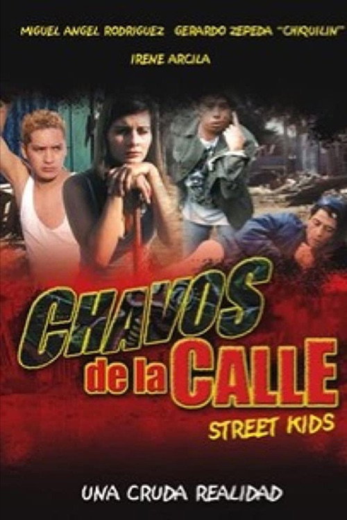 Movie poster for Chavos de La Calle (2001)
