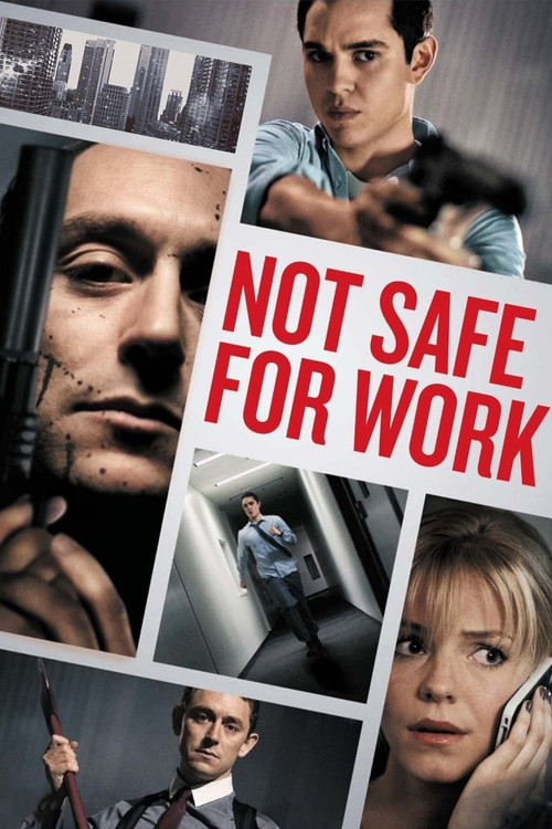 Movie poster for Not Safe for Work (2014)