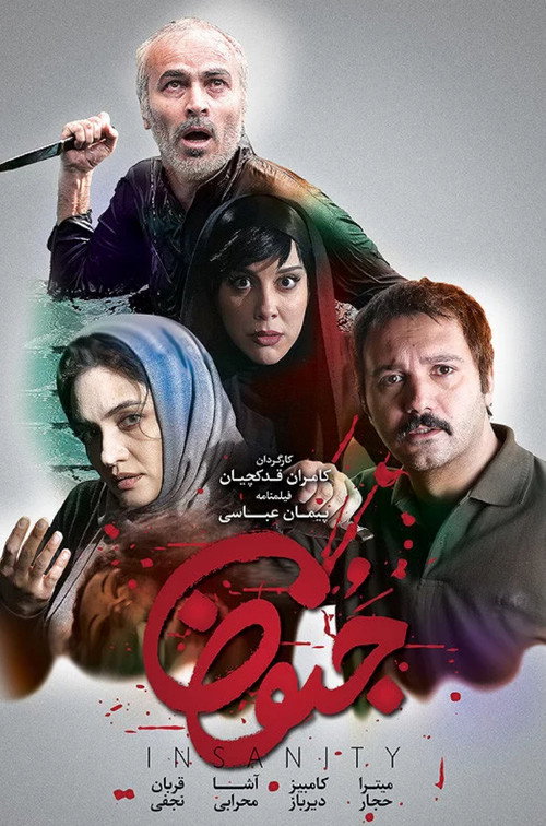 Movie poster for Insanity (2015)