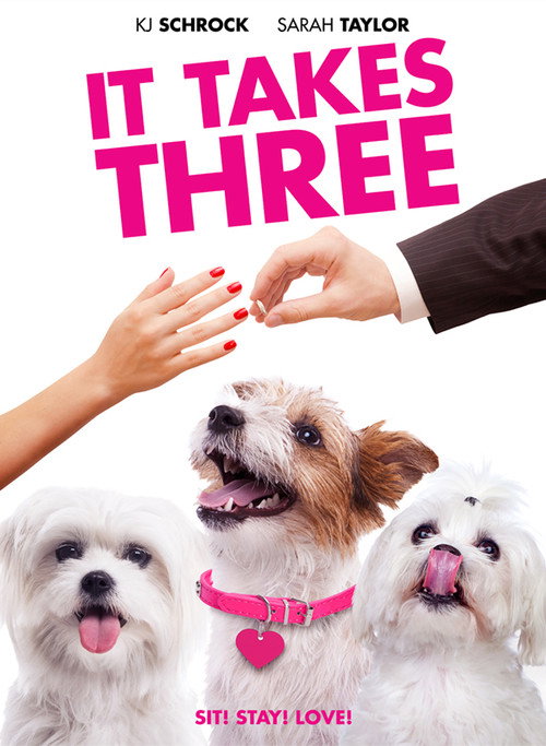 Movie poster for It Takes Three (2019)