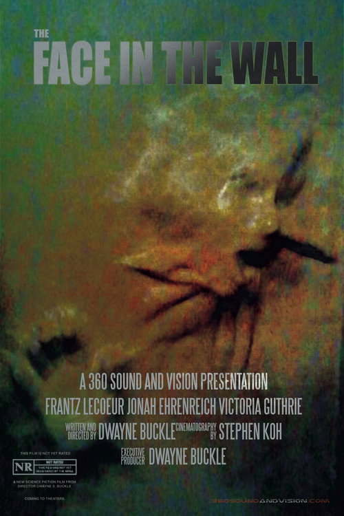 Movie poster for The Face in the Wall (2017)