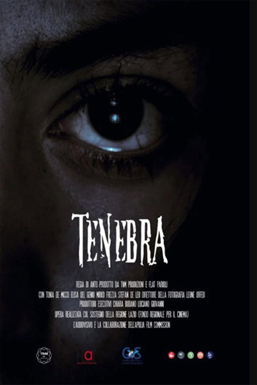 Movie poster for Tenebra (2022)