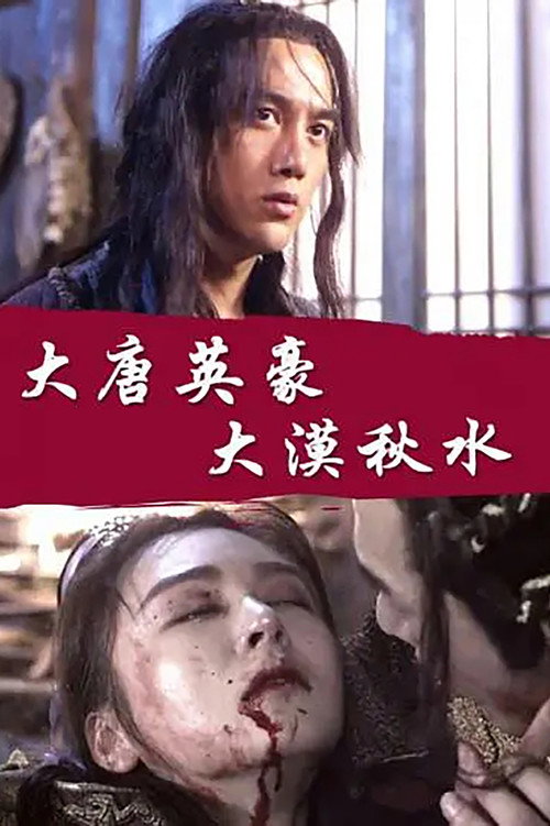 Movie poster for The Hero of Tang Dynasty: Autumn Water in the Desert (2017)