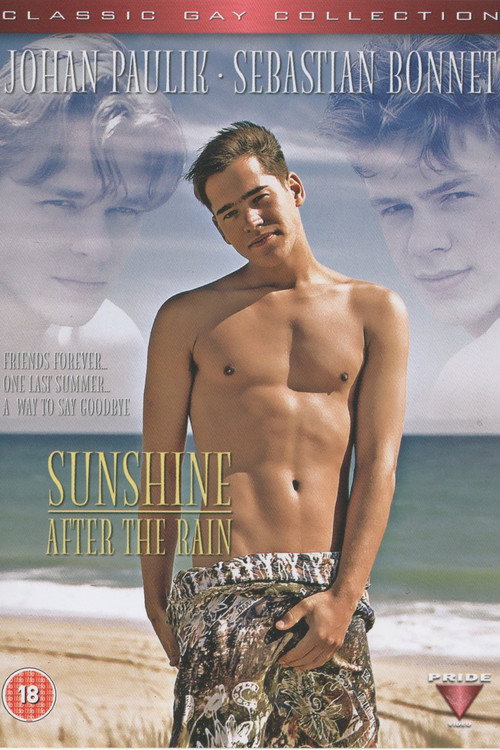 Movie poster for Sunshine After the Rain (1996)