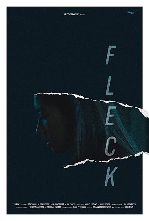 Movie poster for Fleck (2019)
