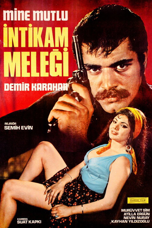 Movie poster for İntikam Meleği (1970)