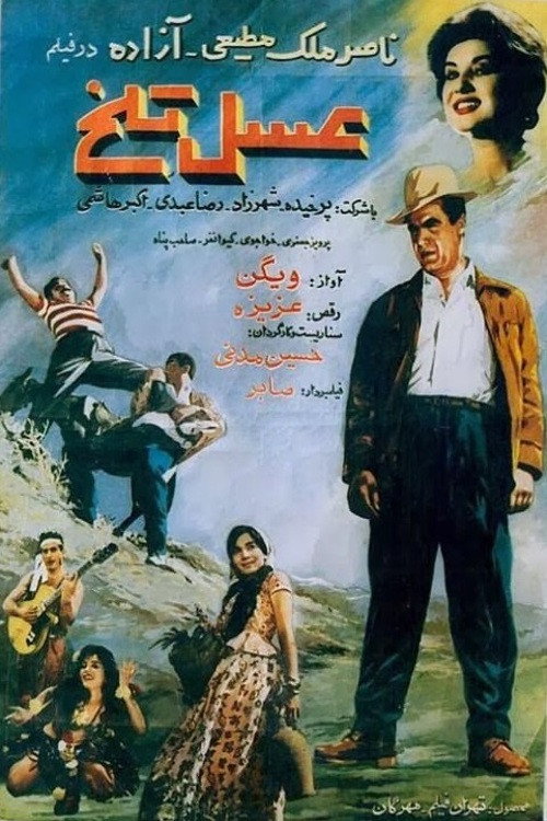 Movie poster for Bitter Honey (1961)
