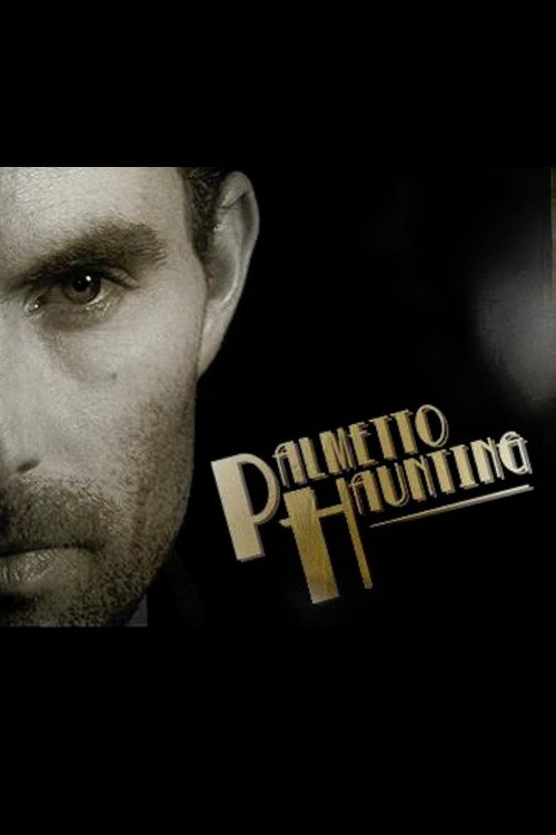 Movie poster for Palmetto Haunting (2010)