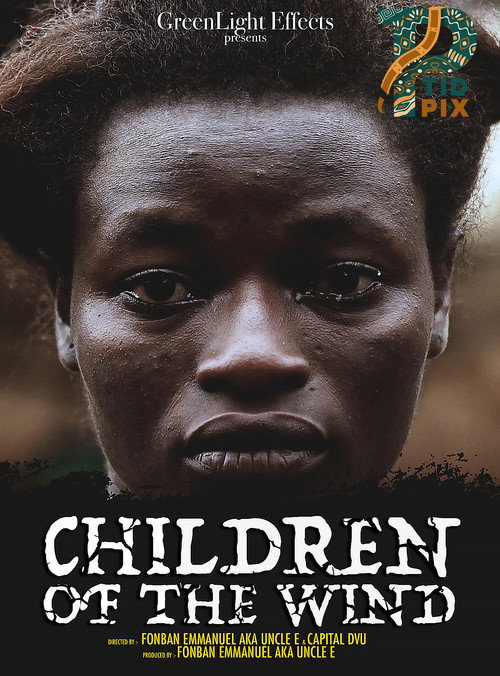 Movie poster for Children of the Wind (2019)