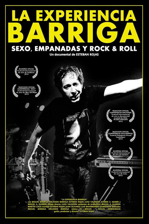 Movie poster for La experiencia Barriga (2013)