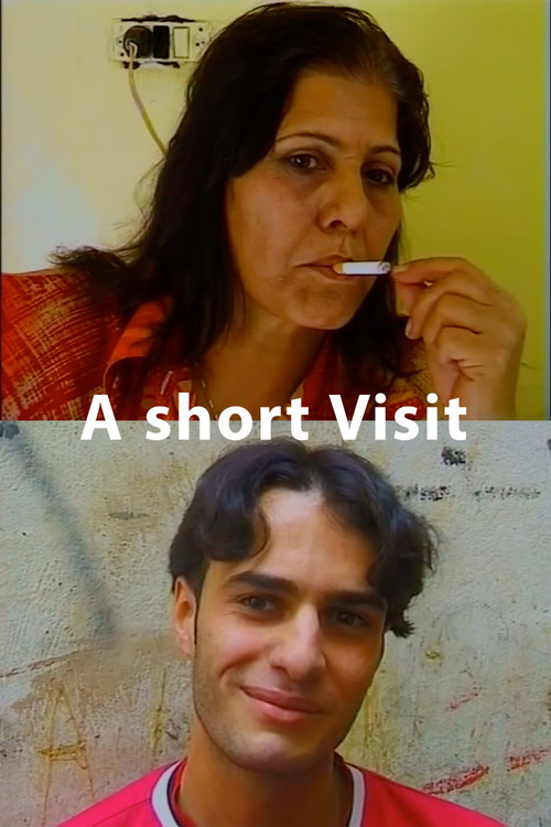 Movie poster for A short visit (2000)