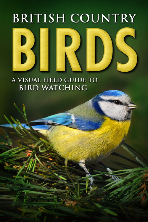 Movie poster for British Country Birds: A Visual Field Guide to Bird Watching (2015)