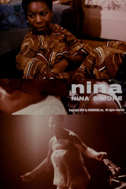 Movie poster for Nina: A Historical Perspective (1970)