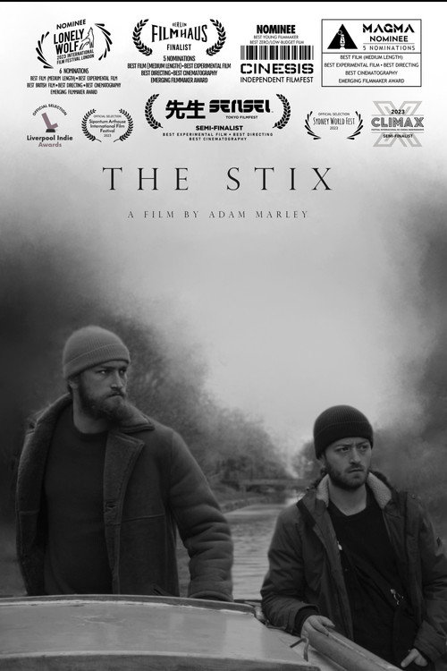 Movie poster for The Stix (2022)
