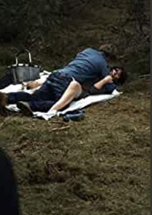 Movie poster for Udflugt (2010)