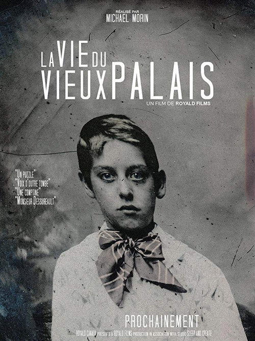 Movie poster for La Vie du Vieux Palais