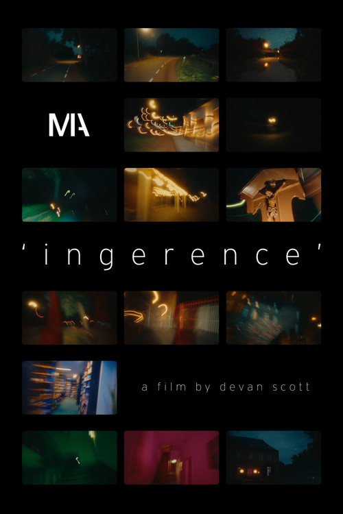 Movie poster for 'ingerence'