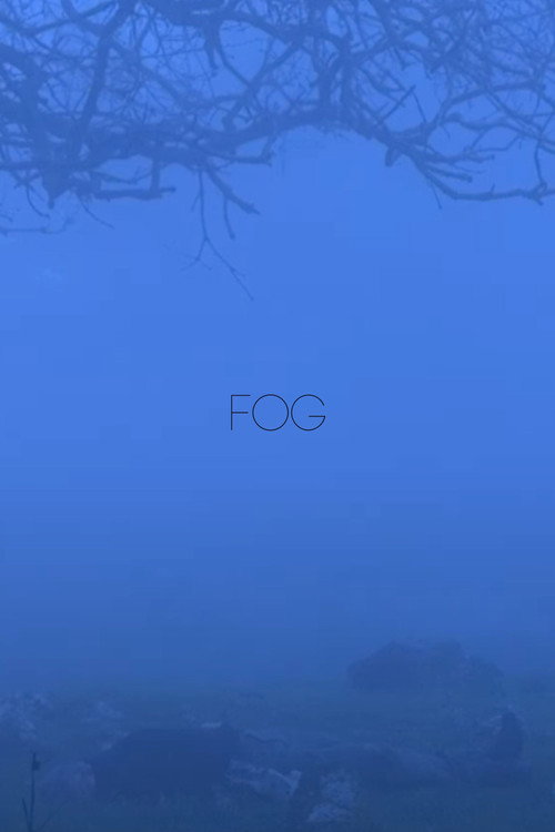 Movie poster for Fog (2024)