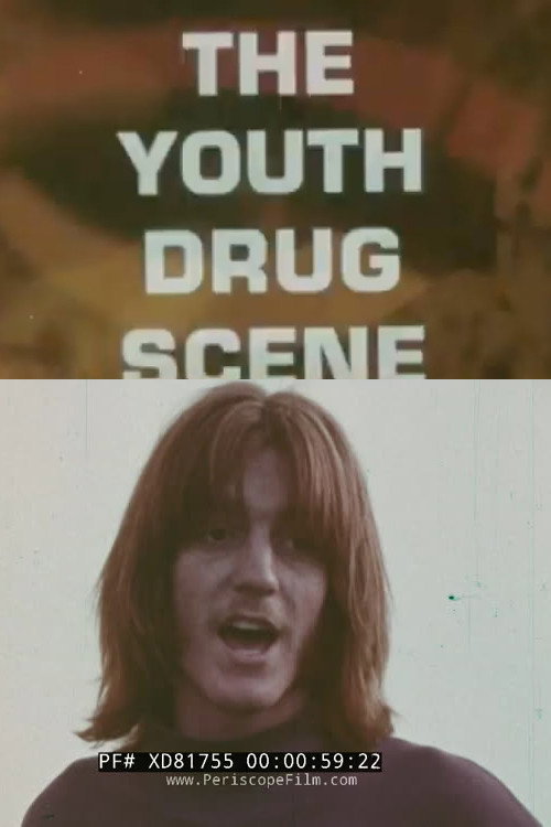 Movie poster for The Youth Drug Scene (1970)