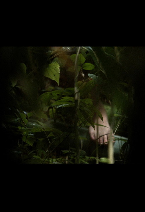 Movie poster for In A Grove (2025)