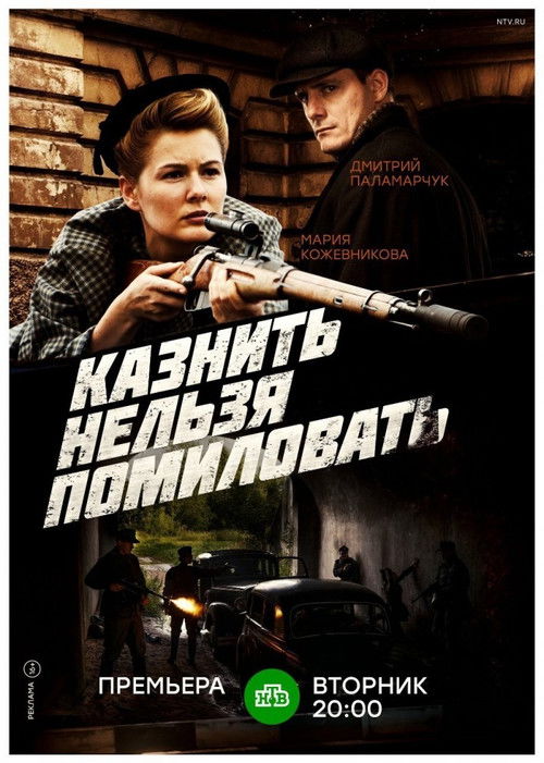 Казнить нельзя помиловать poster