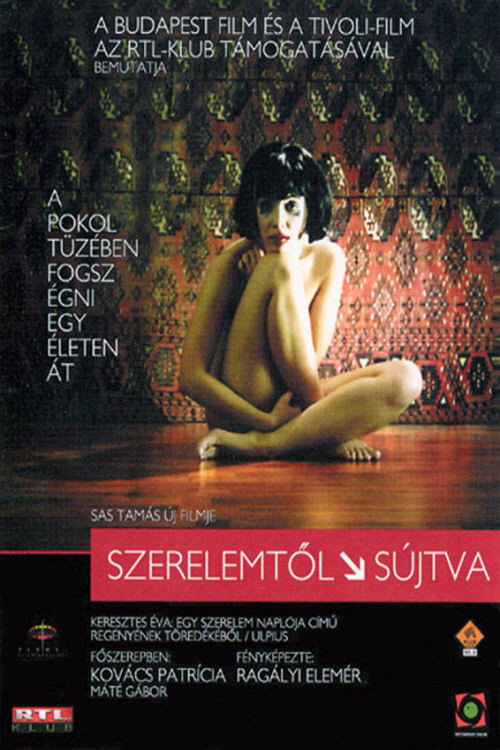 Movie poster for Down by Love (2003)