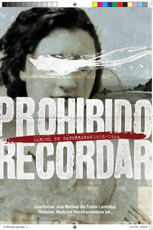 Movie poster for To Remember Is Forbidden (2010)
