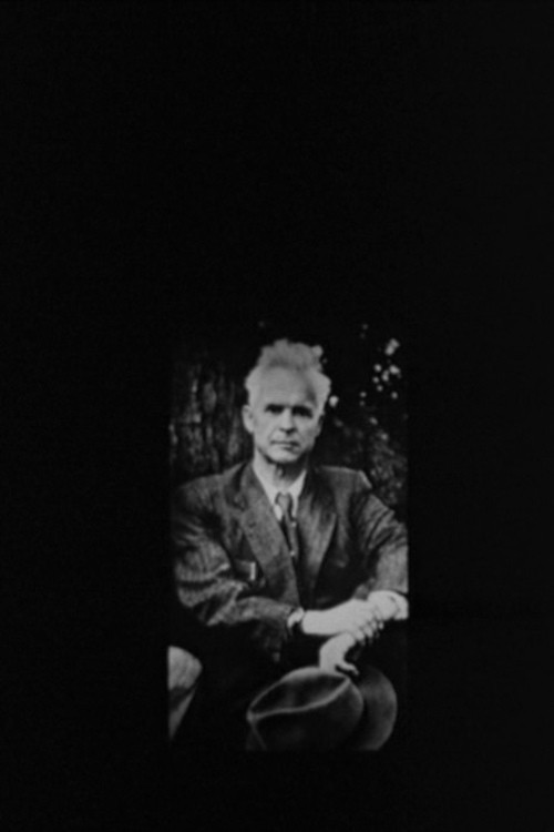 Movie poster for Oleksandr Dovzhenko. The Contemplations After Life (1992)