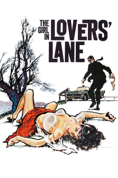 Movie poster for The Girl in Lovers Lane (1960)
