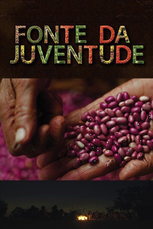 Movie poster for Fonte da Juventude (2017)