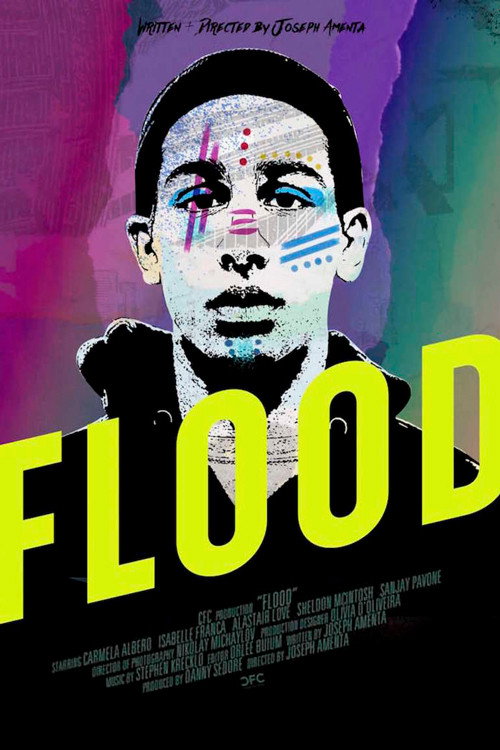 Movie poster for Flood (2019)