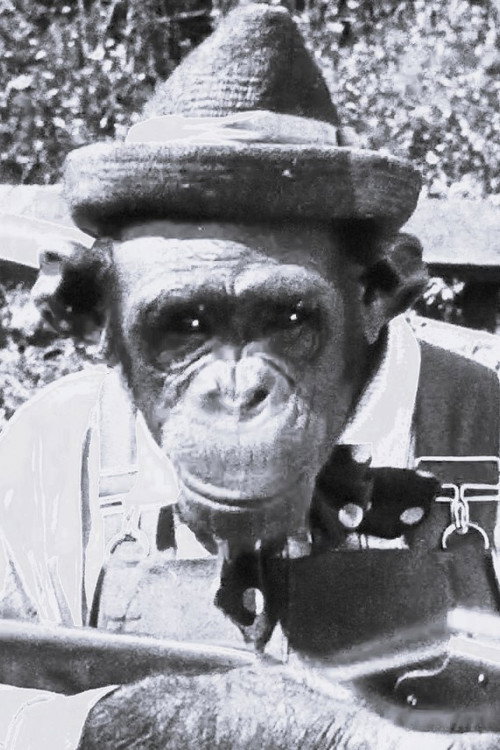 Photo of Snooky, Acting