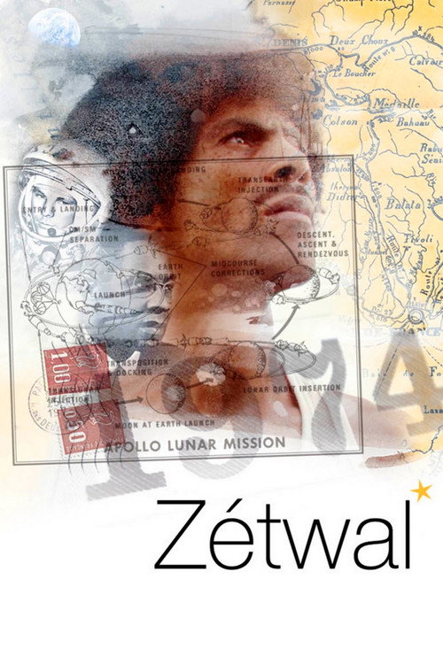 Movie poster for Twinkl (2008)