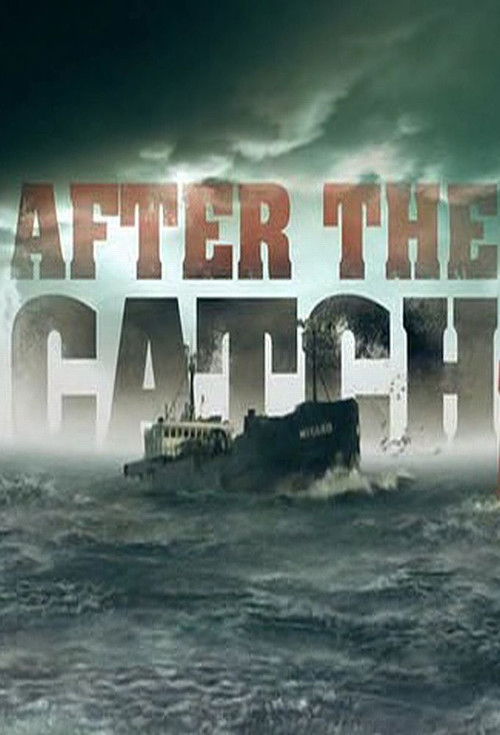 After the Catch poster