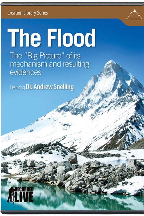 Movie poster for The Flood (2009)