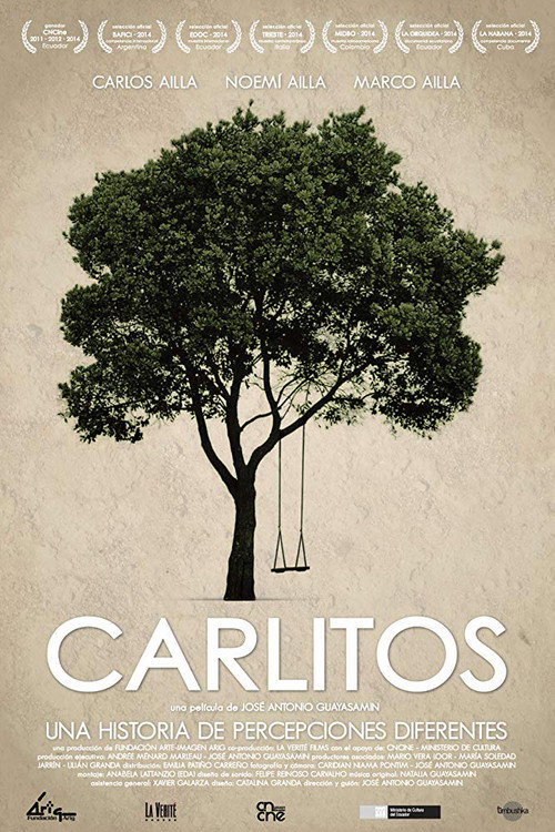Movie poster for Carlitos (2014)